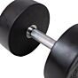 MP1012 Ronde rubber dumbbell 22kg per stuk